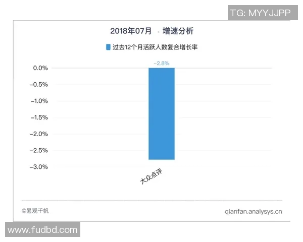 上海排球队在城市联赛中的团队协作表现分析与点评