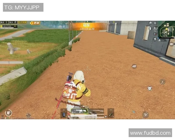 深度对话：吴秀英如何在和平精英中找到人生的意义与价值